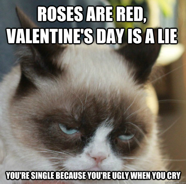 Grumpy cat valentines day poem Lillian Vernon Blog