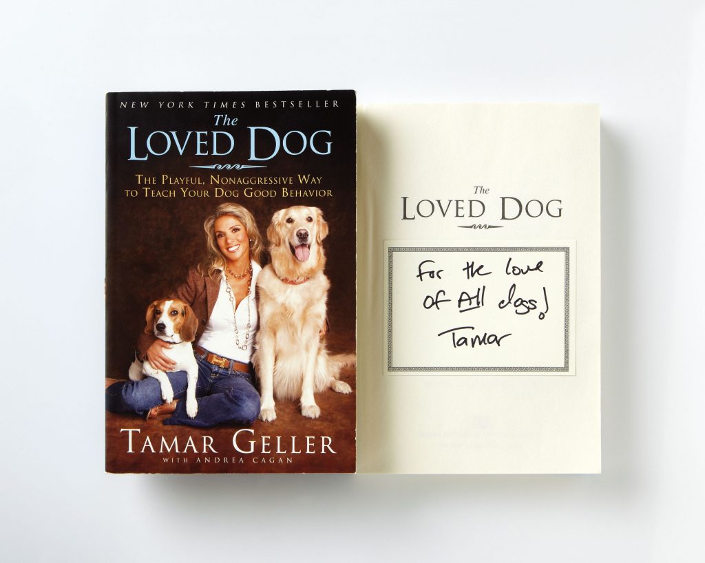 best-tamar-pic